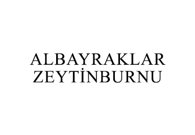 Albayraklar Zeytinburnu Otopark